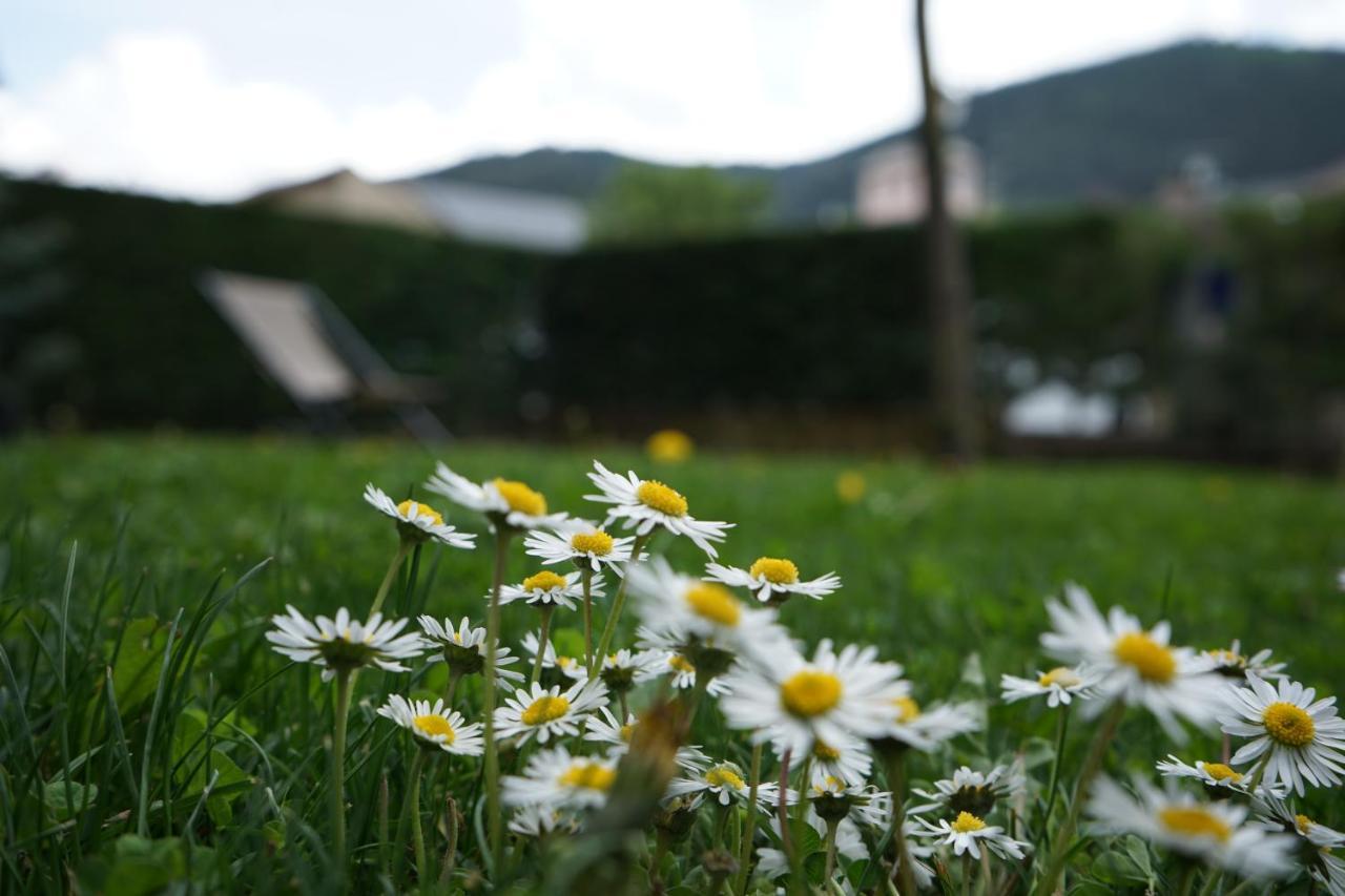 Apartamento Con Jardin En La Cerdanya Err Exterior photo